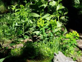 photo coins arrondis