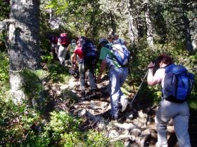 photo coins arrondis