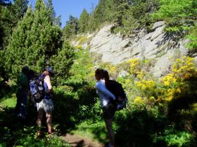 photo coins arrondis