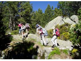 photo coins arrondis