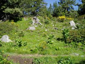 photo coins arrondis