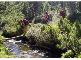 photo coins arrondis