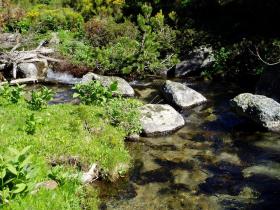 photo coins arrondis