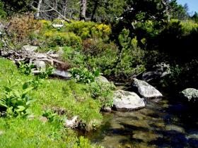 photo coins arrondis