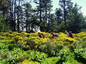 photo coins arrondis