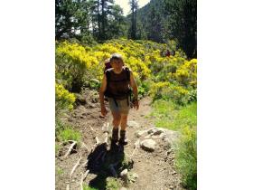 photo coins arrondis