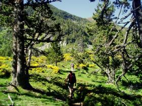 photo coins arrondis