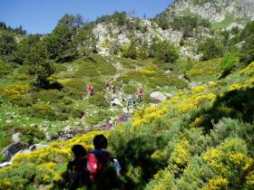 photo coins arrondis