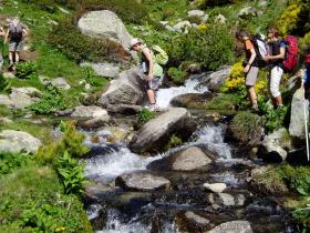 photo coins arrondis