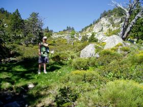 photo coins arrondis