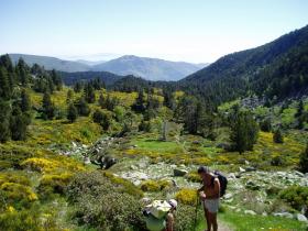 photo coins arrondis