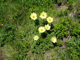 photo coins arrondis