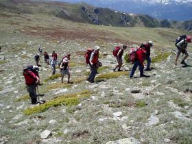 photo coins arrondis