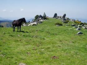 photo coins arrondis