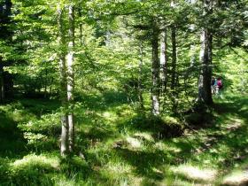 photo coins arrondis