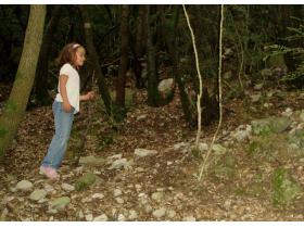 photo coins arrondis