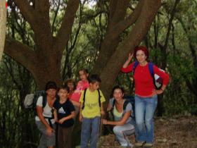 photo coins arrondis