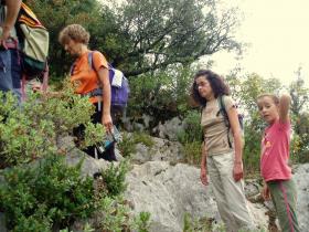 photo coins arrondis