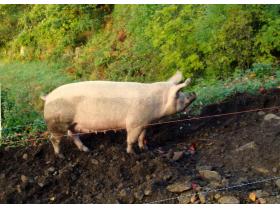 photo coins arrondis