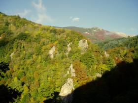 photo coins arrondis