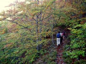 photo coins arrondis