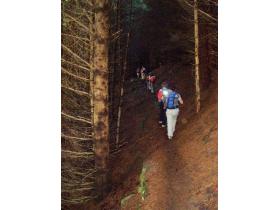 photo coins arrondis