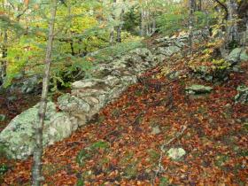 photo coins arrondis