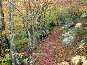 photo coins arrondis