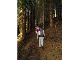 photo coins arrondis