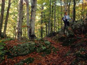 photo coins arrondis