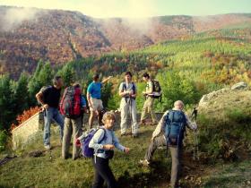 photo coins arrondis