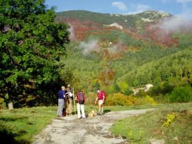 photo coins arrondis