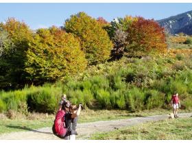 photo coins arrondis