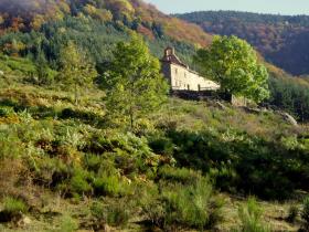 photo coins arrondis