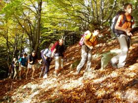 photo coins arrondis