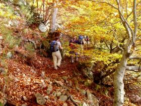 photo coins arrondis