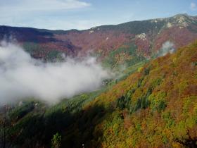 photo coins arrondis