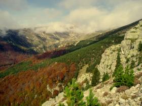 photo coins arrondis