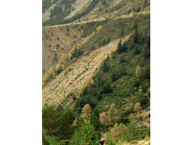 photo coins arrondis