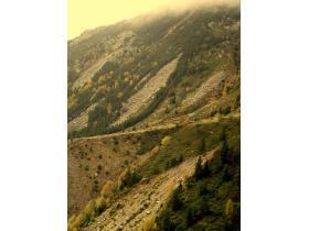 photo coins arrondis