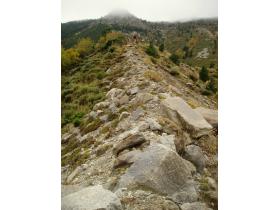 photo coins arrondis