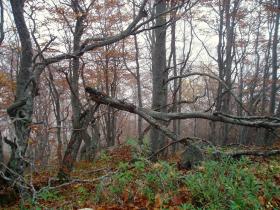 photo coins arrondis