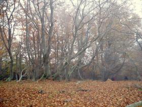 photo coins arrondis