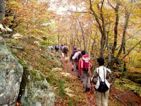 photo coins arrondis