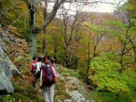 photo coins arrondis