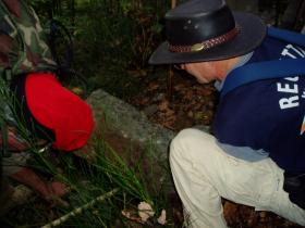 photo coins arrondis