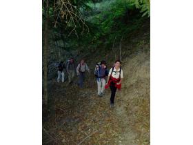 photo coins arrondis