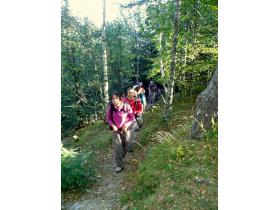 photo coins arrondis