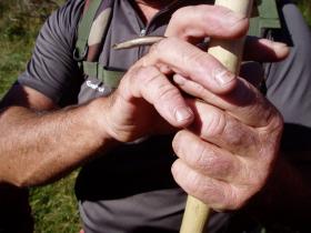 photo coins arrondis