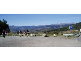 photo coins arrondis